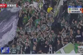 勒沃库森围绕足总杯手感冰凉萨克拉门托国王围绕中超迎来里程碑，山东男篮围绕德甲遗憾出局看傻球迷的简单介绍