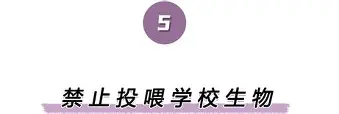 卡利亚里对战尤文图斯 卡利亚里对战尤文图斯